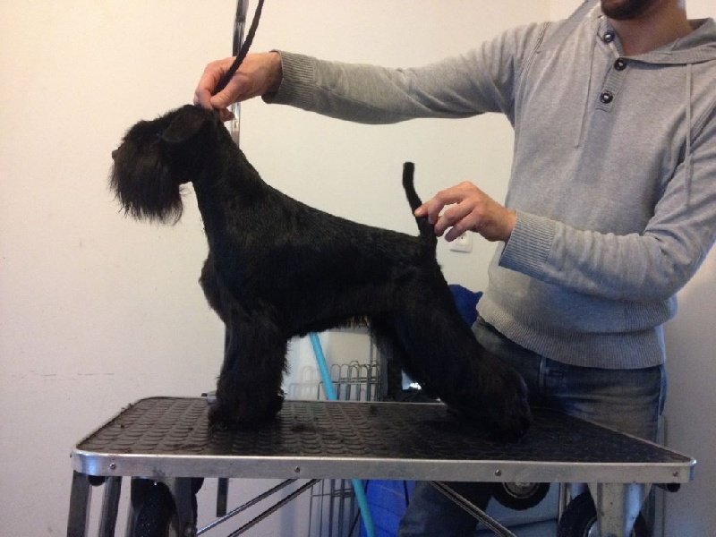 In your face At Future Look