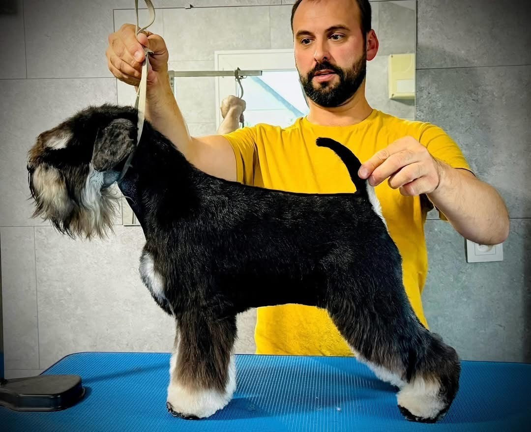  XANTHOS Z DIXIE